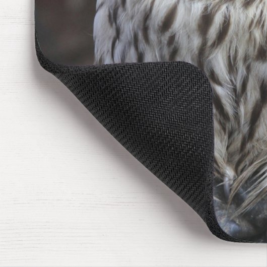 Ural Owl Muismat (Hoek)