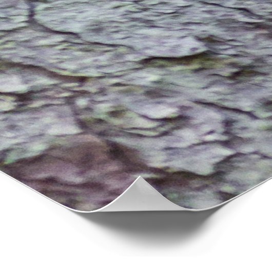 Ural Owl Poster (Hoek)