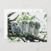 Urale owetsl. Ikeda-machi, Hokkaido, Japan Briefkaart (Voorkant / Achterkant)