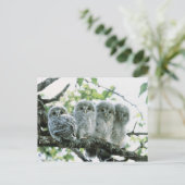 Urale owetsl. Ikeda-machi, Hokkaido, Japan Briefkaart (Staand voorkant)