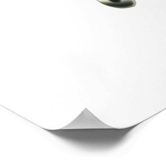 Urania Sunset Moth Poster (Hoek)