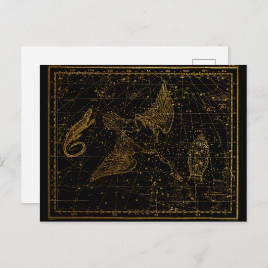 Urania's Mirror Celestial Map Gold en Black Briefkaart (Voorkant / Achterkant)