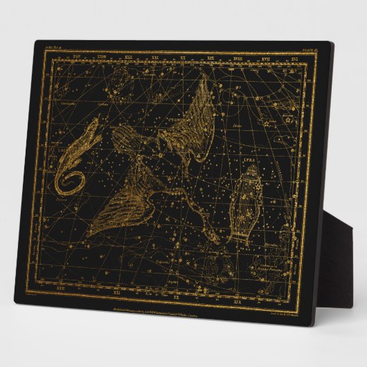 Urania's Mirror Celestial Map Gold en Black Fotoplaat (Zijkant)