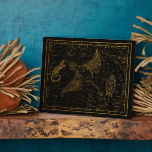 Urania's Mirror Celestial Map Gold en Black Fotoplaat