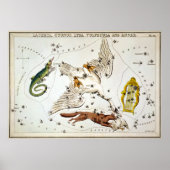 Urania's Mirror - Lacerta, Cygnus, Lyra, Vulpecula Poster (Voorkant)