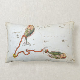 Urania's Mirror,  Pisces Constellation Kussen