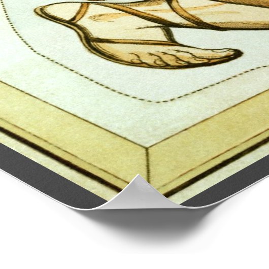 Urania's Mirror,  sterrenkunde Hemelkaart Poster (Hoek)