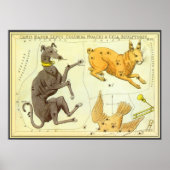 Urania's Mirror,  sterrenkunde Hemelkaart Poster (Voorkant)