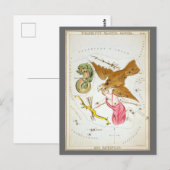 Urania's Spiegel, Antieke Hemelkaart Astronomie Briefkaart (Voorkant / Achterkant)