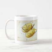 Urania's spiegelbeeld,  Weegplaats Koffiemok (Links)