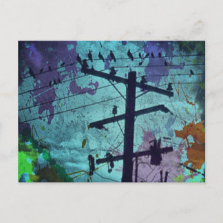 Urban Bird's Life Briefkaart