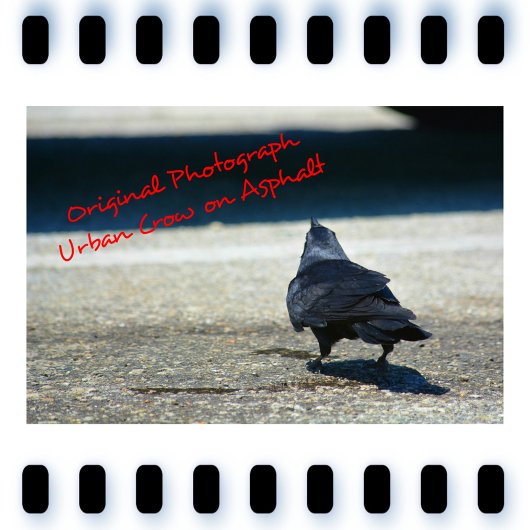 Urban Black Bird Gothic Grijs Zwart Bureaumat