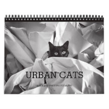Urban Cats Black en White Photography