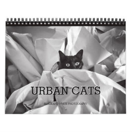 Urban Cats Black en White Photography Kalender
