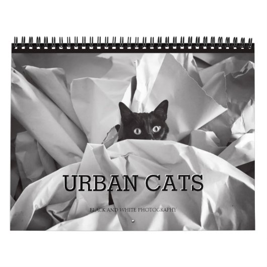 Urban Cats Black en White Photography Kalender (Hoes)