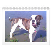 Urban Doo Crash Kalender (Hoes)
