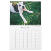 Urban Doo Crash Kalender (Feb 2026)