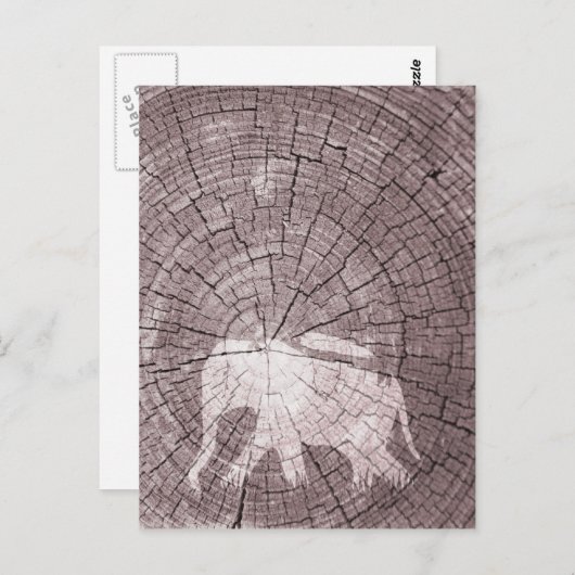 Urban Elephant Briefkaart (Voorkant / Achterkant)