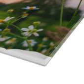 Urban Escape Artist City to Nature Sunset Design Snijplank (Hoek)