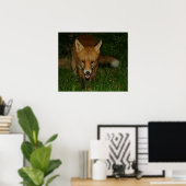 Urban Fox Poster (Thuiskantoor)