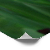 Urban Garden London Decor: Smithfield Bloemen Poster (Hoek)