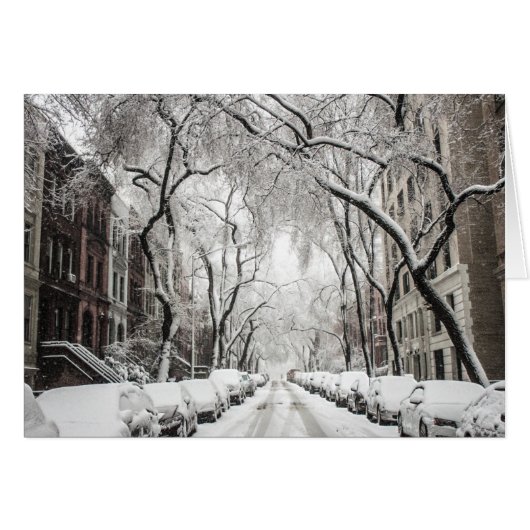 Urban-kerstsneeuw in Brooklyn NY (Voorkant Horizontaal)