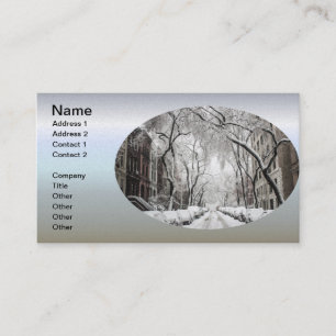 Urban-kerstsneeuw in Brooklyn NY Visitekaartje