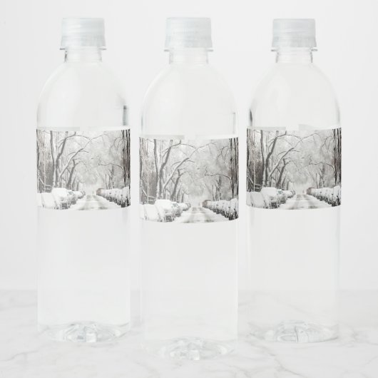 Urban-kerstsneeuw in Brooklyn NY Waterfles Etiket (Flessen)