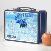 Urban Moose (In situ)