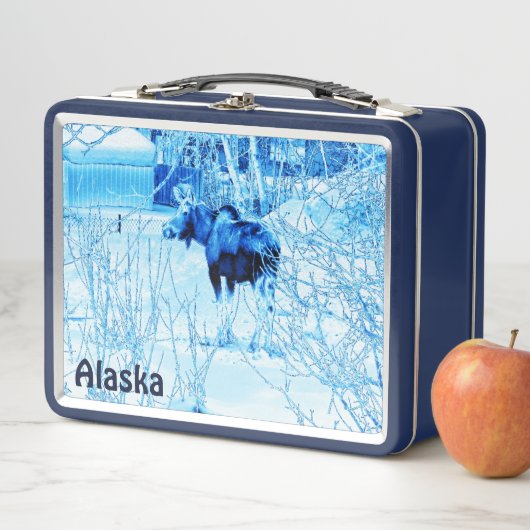 Urban Moose (In situ)