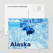 Urban Moose Briefkaart (Voorkant / Achterkant)