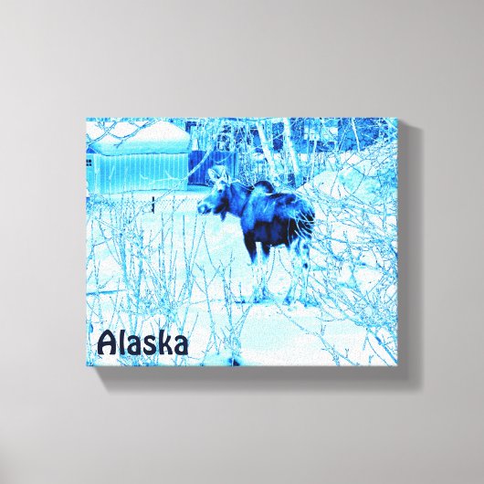 Urban Moose Canvas Afdruk (Voorkant)