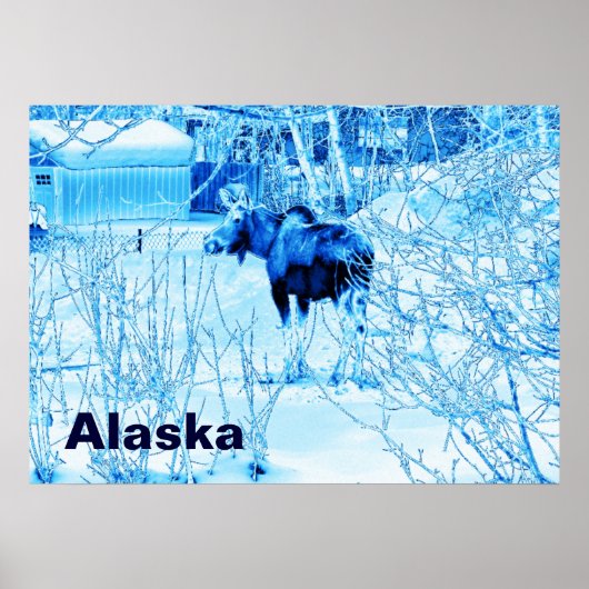 Urban Moose Poster (Voorkant)
