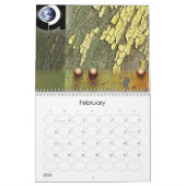 URBAN ORGANIC CALENDAR KALENDER (Feb 2026)