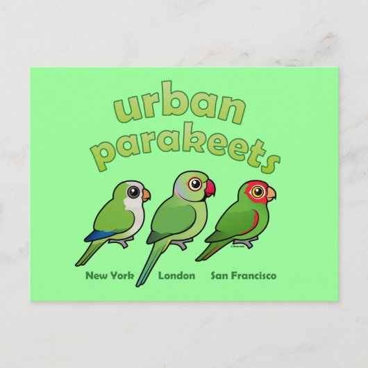 Urban Parakeets Briefkaart (Voorkant)