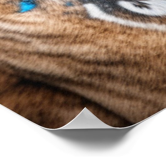 Urban Pitbull City Street Art Graffiti Poster (Hoek)