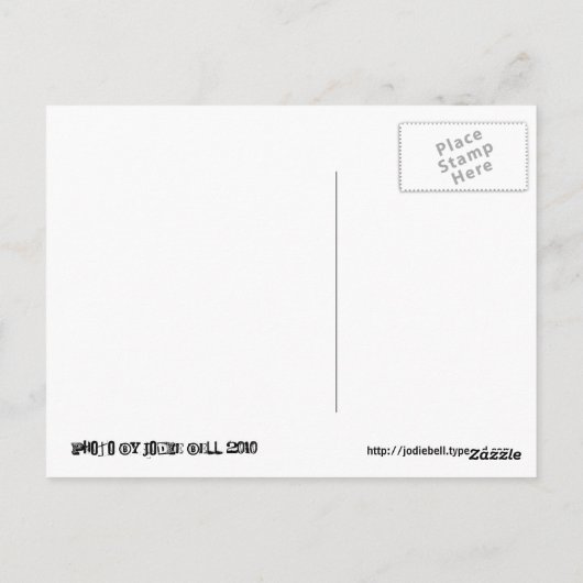 Urban Rabbit Briefkaart (Achterkant)