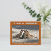 Urban Street Fighters House Sparrows Birder Briefkaart (Staand voorkant)