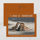 Urban Street Fighters House Sparrows Birder Briefkaart (Voorkant / Achterkant)