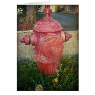 Urban Treed Fire Hydrant Card