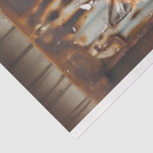 Urban Trio Fox Brotherhood Decoupage Tissuepapier (Detail)