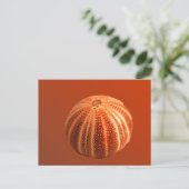 Urchin Briefkaart (Staand voorkant)