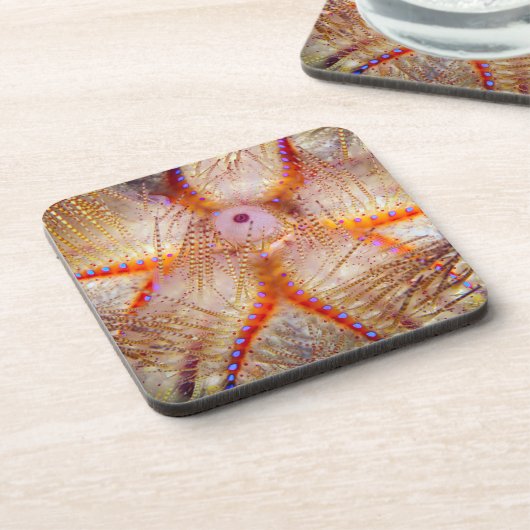 Urchin Hard Plastic Onderzetters tegen brand (set  (Linkerzijde)