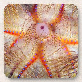 Urchin Hard Plastic Onderzetters tegen brand (set