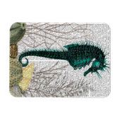 Urchins voor zeepaarden en Zeeen Magneet (Horizontaal)