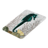 Urchins voor zeepaarden en Zeeen Magneet (Linkerzijde)