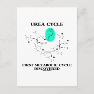 Ureumcyclus eerste metabole cyclus ontdekt briefkaart