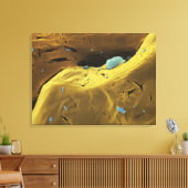 Ureumpoeder Canvas Afdruk (Insitu (Woonkamer))