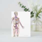 Urine Systeem 2 Briefkaart (Staand voorkant)