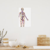 Urine systeem poster (Keuken)